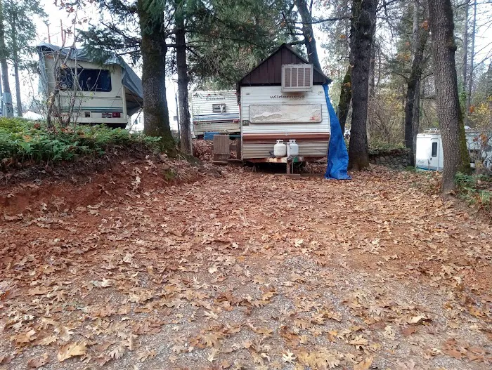Lake Shasta Pines RV Park Picture 9