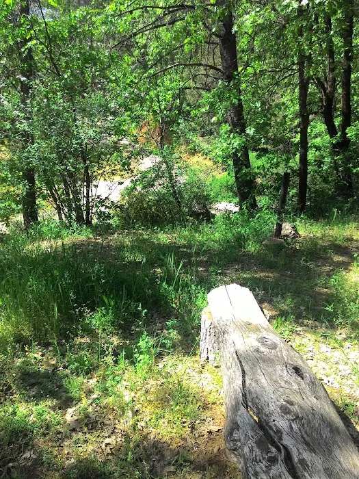 Lake Shasta Pines RV Park Picture 10