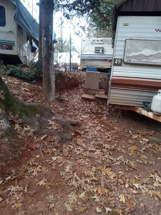 Lake Shasta Pines RV Park Picture 4