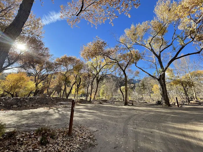Frandy Park Campground Picture 7