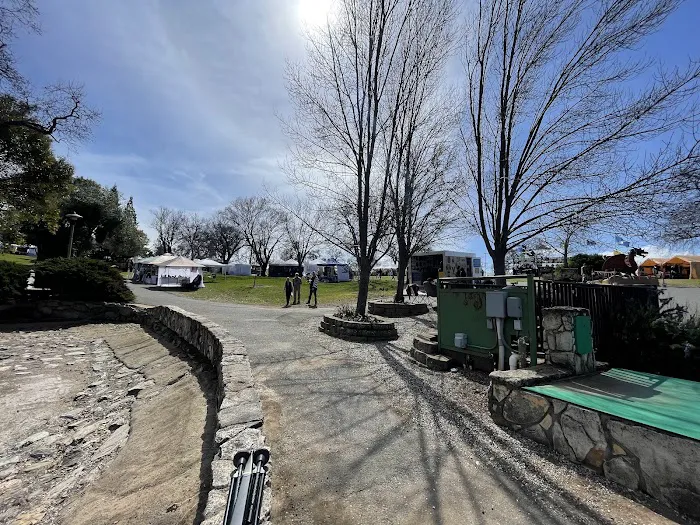 Frogtown RV Park & Calaveras Picture 6