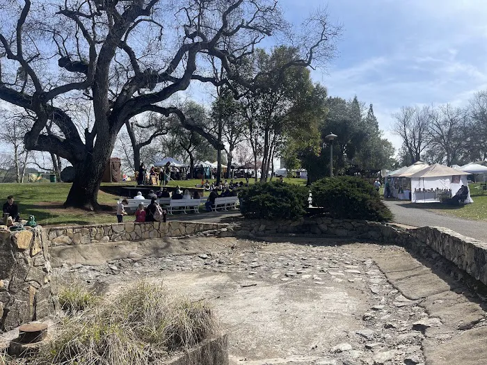 Frogtown RV Park & Calaveras Picture 7