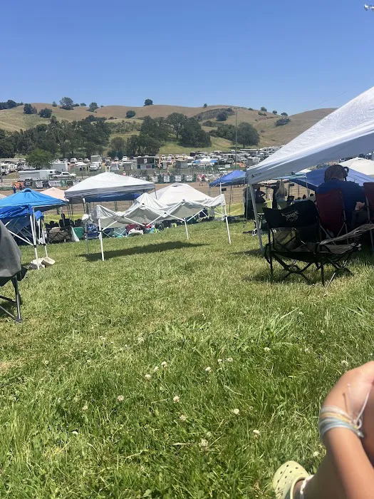 Frogtown RV Park & Calaveras Picture 3