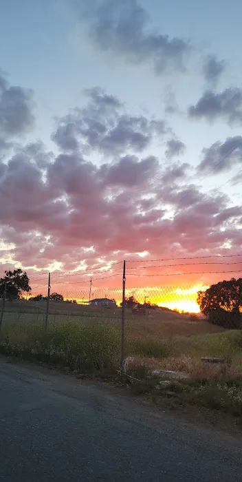 Frogtown RV Park & Calaveras Picture 2