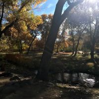 Rivernook Campground ico