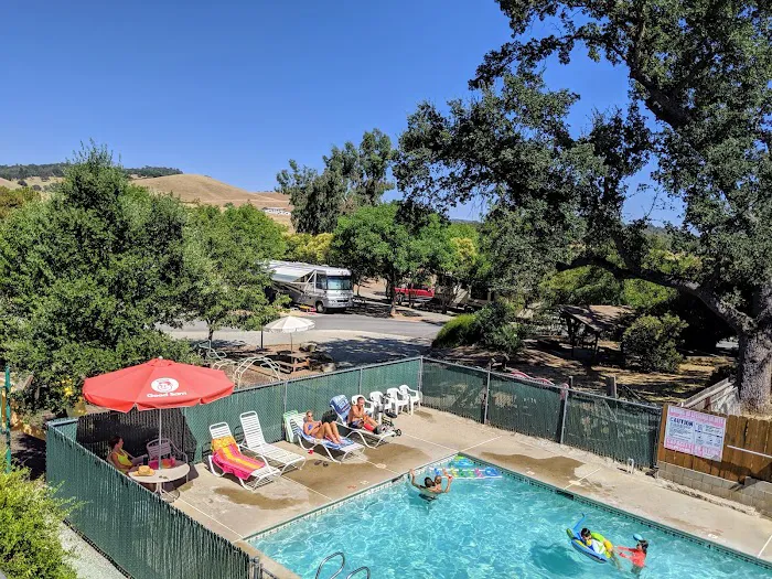 Angels Camp RV & Camping Resort Picture 6