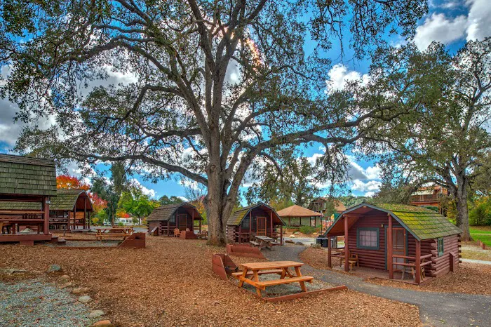 Angels Camp RV & Camping Resort Picture 5