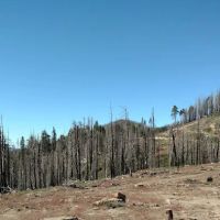 Panorama Campground ico