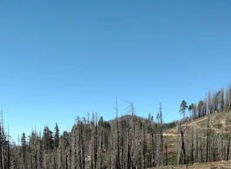 Panorama Campground