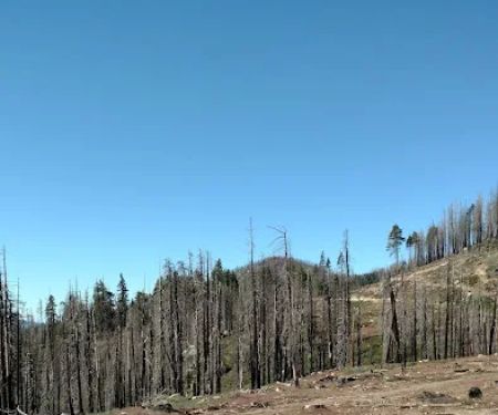 Panorama Campground