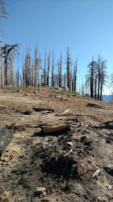 Panorama Campground Picture 2