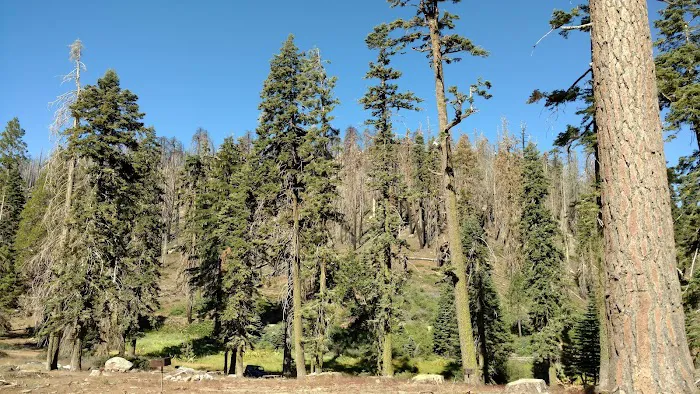 Panorama Campground Picture 7