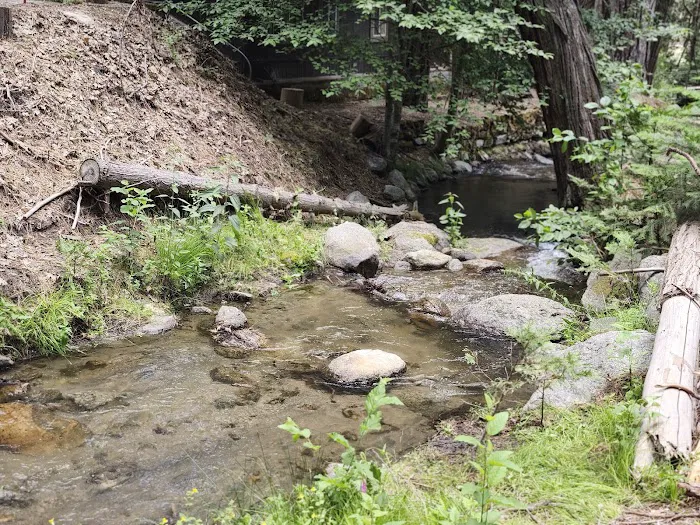 Sugarloaf Campground Picture 2
