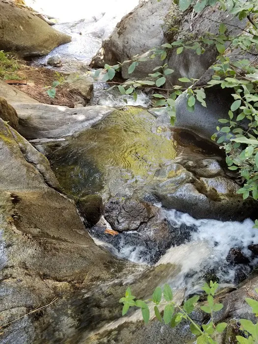 White River Picture 5