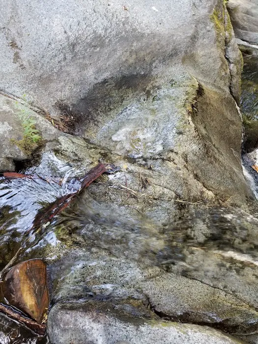 White River Picture 8
