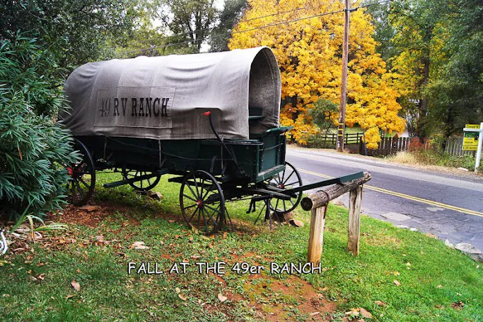 49er RV Ranch Picture 8
