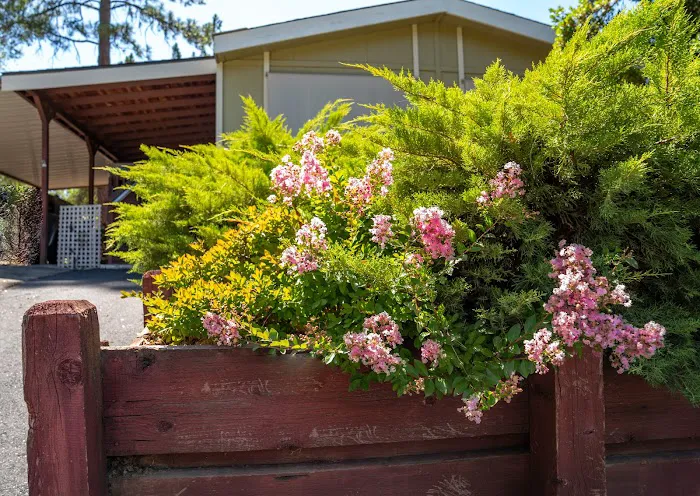 Columbia Sky Mobile Home Estates Picture 5