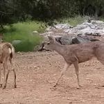 Marble Quarry RV Park