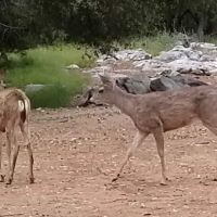 Marble Quarry RV Park ico