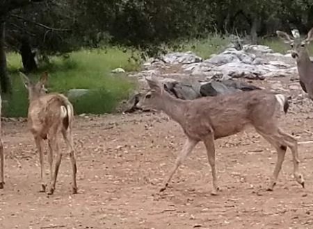 Marble Quarry RV Park
