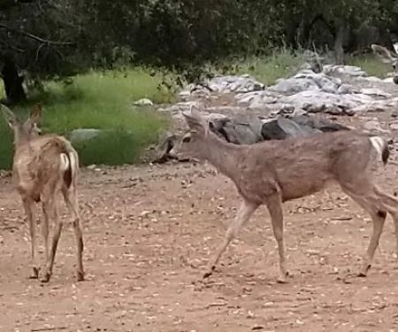 Marble Quarry RV Park