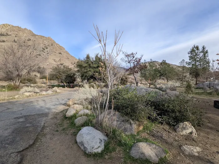 Headquarters Campground Picture 9
