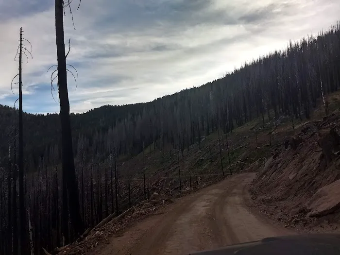 Frog Meadow Campground Picture 1