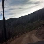 Frog Meadow Campground