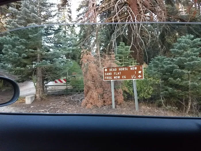 Frog Meadow Campground Picture 7