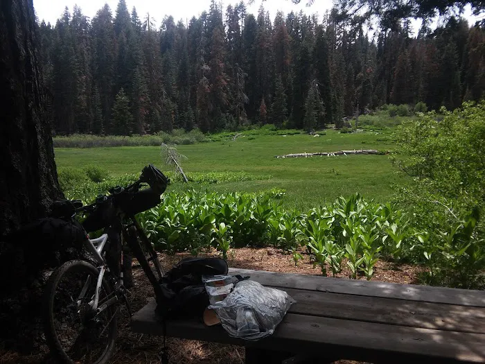 Frog Meadow Campground Picture 9