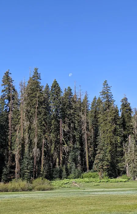 Frog Meadow Campground Picture 10