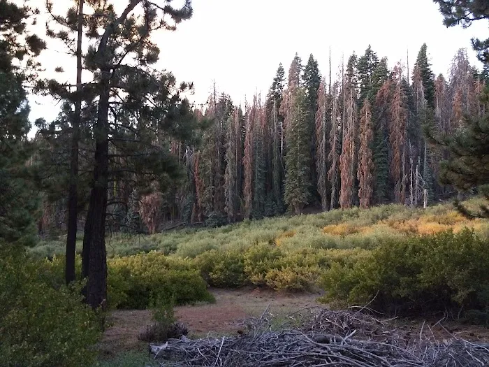 Frog Meadow Campground Picture 5