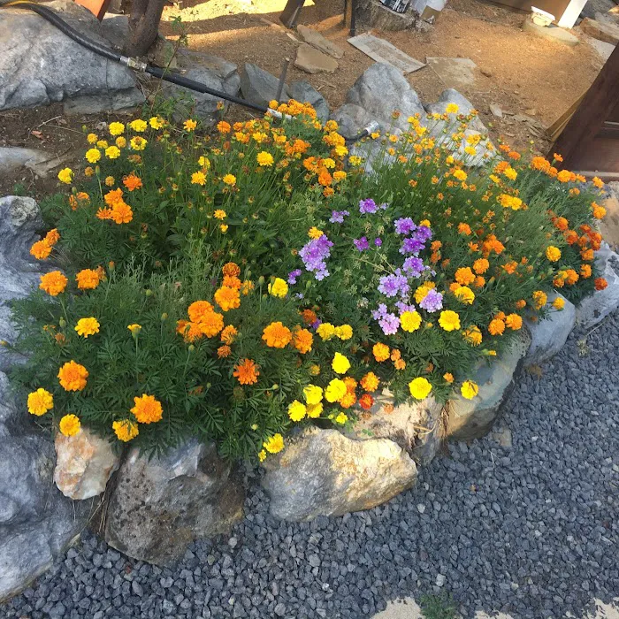 Gold Rush Mobile Home Park Picture 7