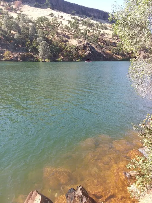 Columbia RV Park Picture 5