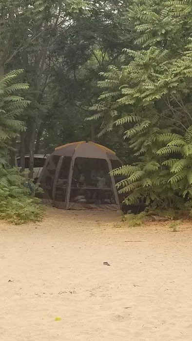 Thunderbird Group Campground Picture 2
