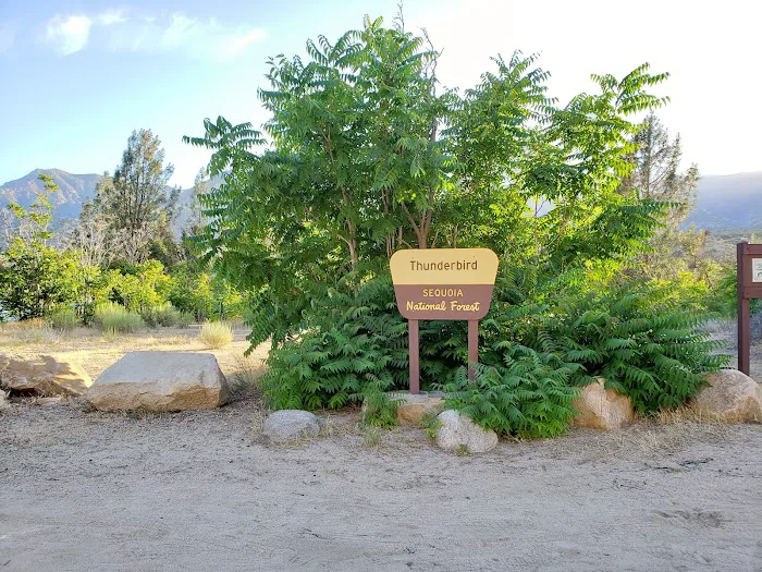 Thunderbird Group Campground Picture 10