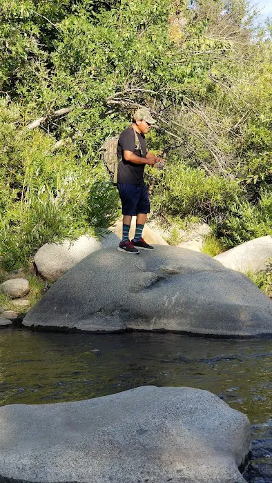 Thunderbird Group Campground Picture 7