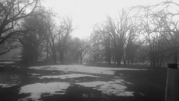 Ponderosa Mobile Home Park Picture 2