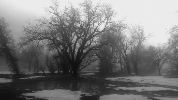 Ponderosa Mobile Home Park Picture 1
