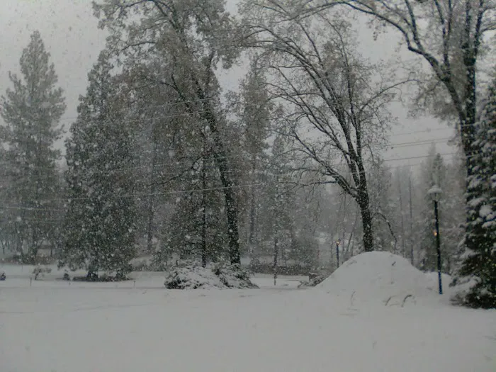 Ponderosa Mobile Home Park Picture 7