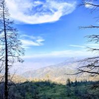 Frog Meadow Recreational Rental Cabin ico