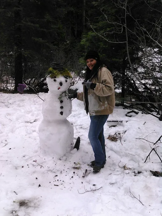 Sugar Pine RV Resort and Mobile Home Park Picture 10