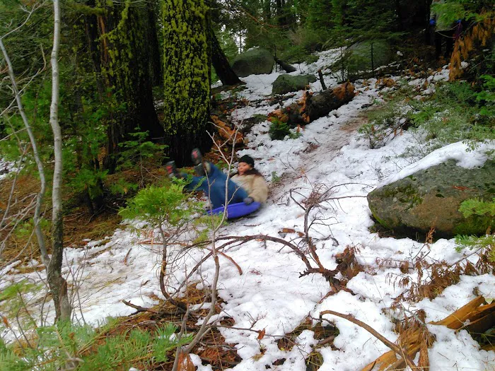 Sugar Pine RV Resort and Mobile Home Park Picture 8