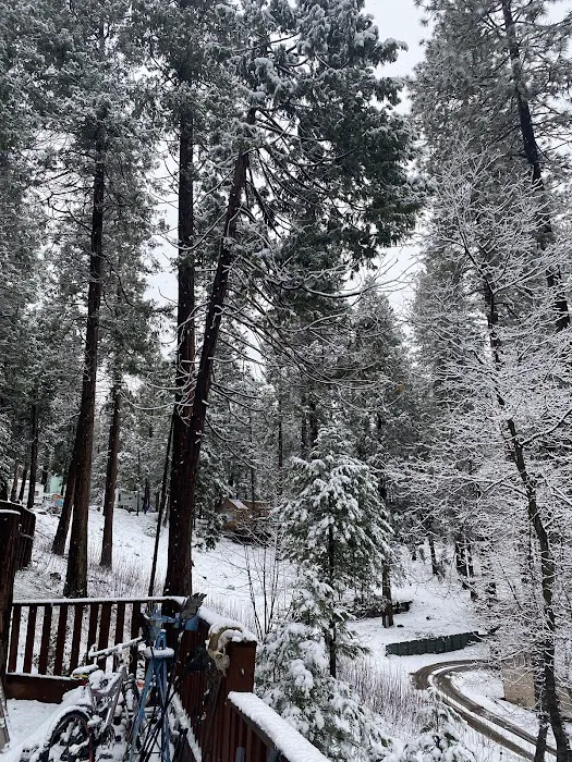 Sugar Pine RV Resort and Mobile Home Park Picture 7
