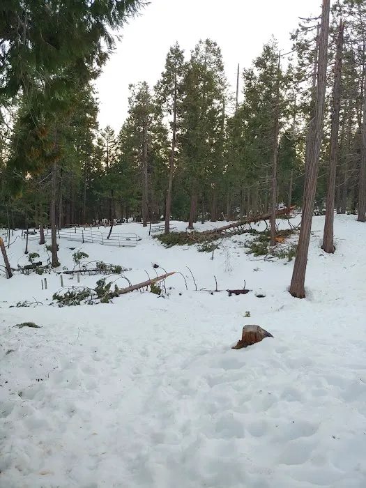 Sugar Pine RV Resort and Mobile Home Park Picture 1