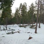 Sugar Pine RV Resort and Mobile Home Park