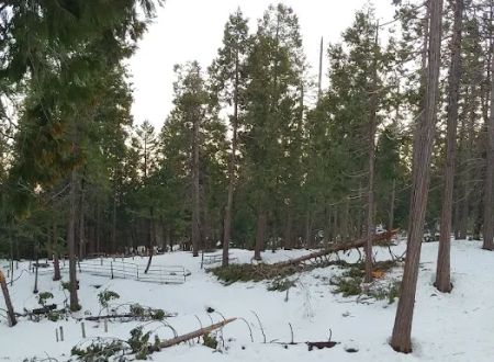 Sugar Pine RV Resort and Mobile Home Park