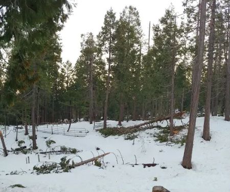 Sugar Pine RV Resort and Mobile Home Park