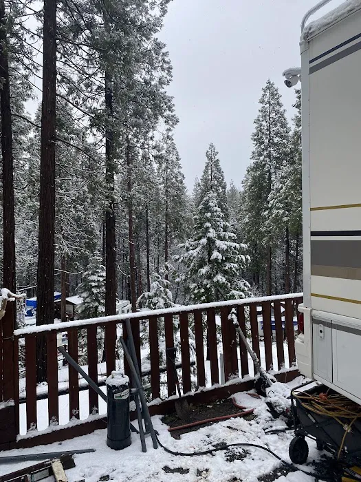 Sugar Pine RV Resort and Mobile Home Park Picture 3