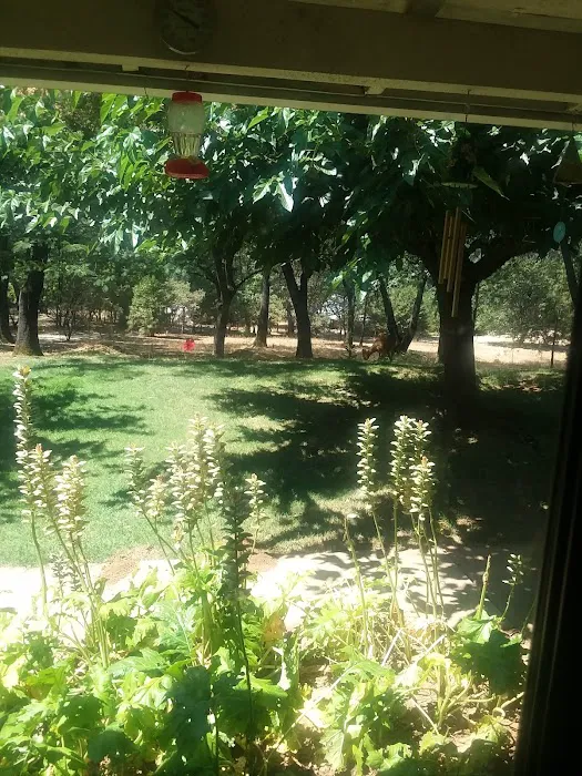 Hidden Valley Trailer Park Picture 4